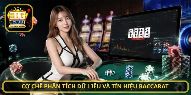 Cơ chế phân tích dữ liệu và tín hiệu Baccarat